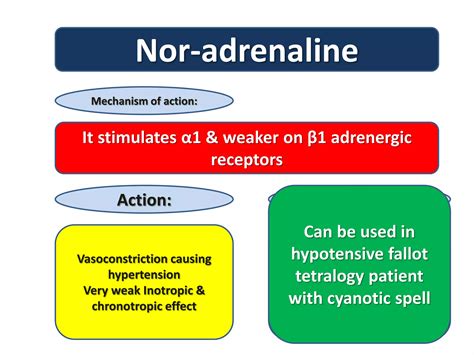 Vasoactive drugs | PPT