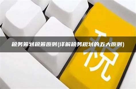 税务筹划税筹原则 详解税务规划的五大原则 灵活用工平台