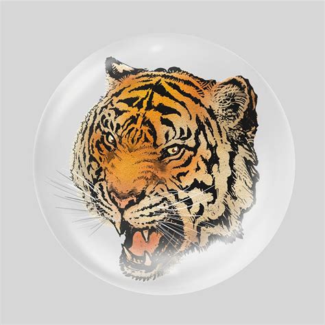 Tiger Head Drawing Images | Free Photos, PNG Stickers, Wallpapers ...