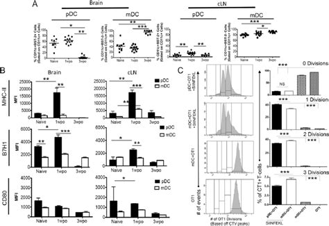 Pdcs Upregulate Mhc Ii In A Mouse Model Of Glioma Gl261 Cells 4 3 10