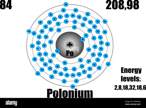 Estructura Del Tomo De Polonio Im Genes Vectoriales De Stock Alamy