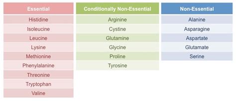 🏷️ Classifying amino acids. Amino acid. 2022-10-12