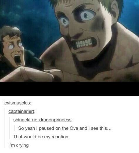 My Reaction Would Be The Same Attack On Titan Funny Attack On Titan