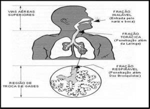 Poeira Total X Poeira Respirável Avatec