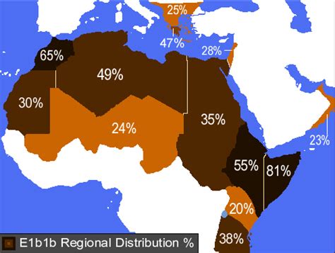 Haplogroup E1b1 Regional Distribution [496 x 374] : MapPorn