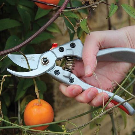 Wilkinson Sword Razorcut Comfort Bypass Pruning Secateurs