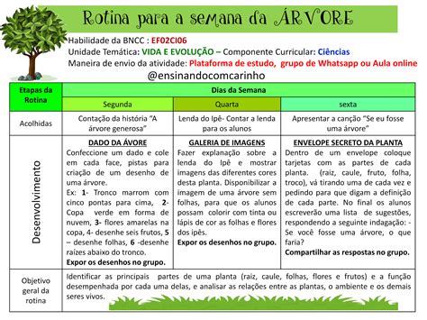 Plano De Aula Dia Da Arvore Educação Infantil