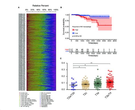 Cibersort Analysis And Clinical Significance Of M Tams In Pca A