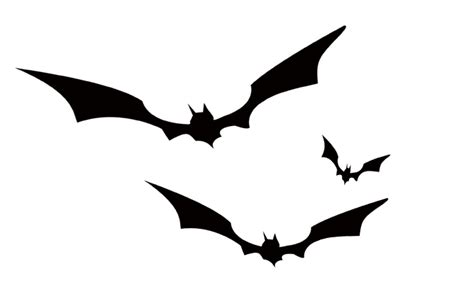 Bat Crows Black And White Bat Png Download 676430 Free