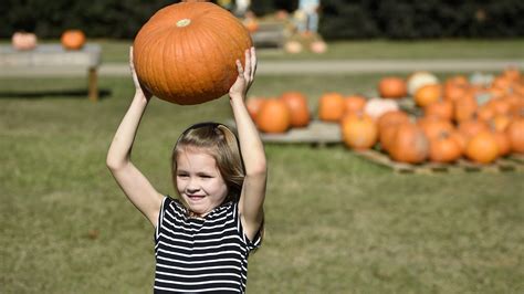 Local business owners predict a boom at Marketplace Augusta GA 28