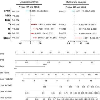 The Correlation Of Cpt Expression With Crc Overall Survival Features