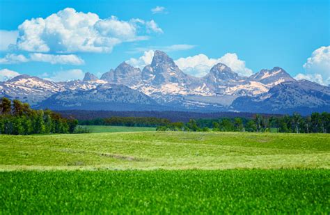 Rocky Mountains Over Idaho Fields Stock Photo Download Image Now Istock