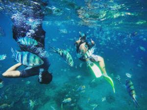 Tioman Snorkeling For First Time Travellers New Guide