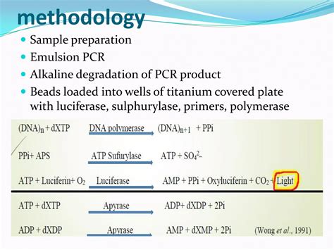 454 Pyrosequencing Ujjwalsirohi Ppt