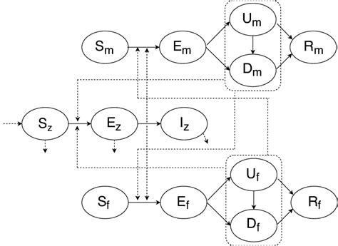 Flow Diagram Of Zika Dynamics With Sexual Transmission Download