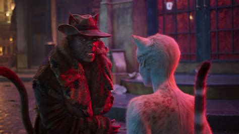 The Last Thing I See: 'Cats' (2019) Movie Review