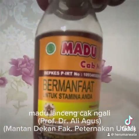 MADU LANCENG CAK NGALI Prof Dr Ali Agus Mantan Dekan Fak