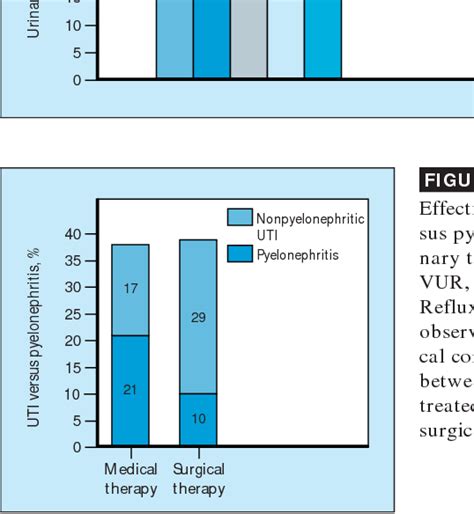 Figure From Reflux And Obstructive Nephropathy Anatomy Of