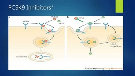 PCSK9 Inhibitors PP