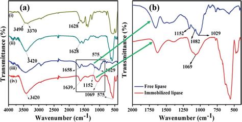 Ftir Spectrum Of A I Nh Mil B Ii Nh Mil B Fe O