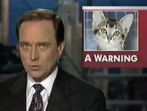 Hilarious Images Captured from Local News Broadcasts | eBaum's World