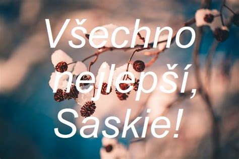 Nej P N K Sv Tku Pro Saskii V Roce Zdarma