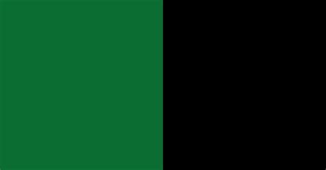 Delhi Sultanate Flag Colors Color Scheme » Flags » SchemeColor.com