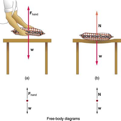 Force Examples