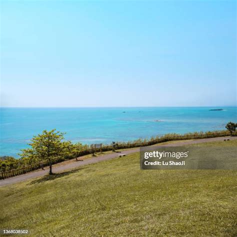 Steep Hill Grass Photos And Premium High Res Pictures Getty Images