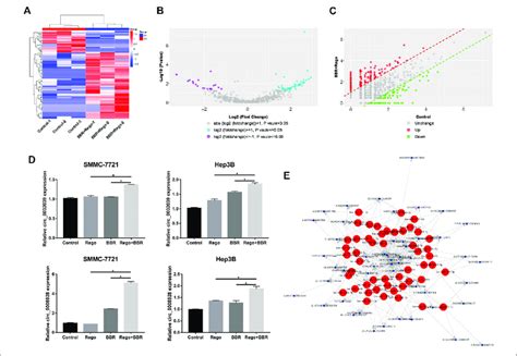 Differential Expression Of Circrnas In Smmc 7721 Cells Treated With Download Scientific