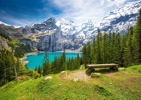 Amazon Beleco X Ft Fabric Mountain Lake Backdrop Alps Mountains