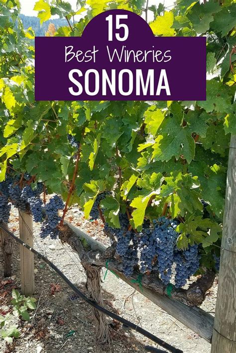 Sonoma Wineries 15 Of My Favorite Stops In Northern California Wine