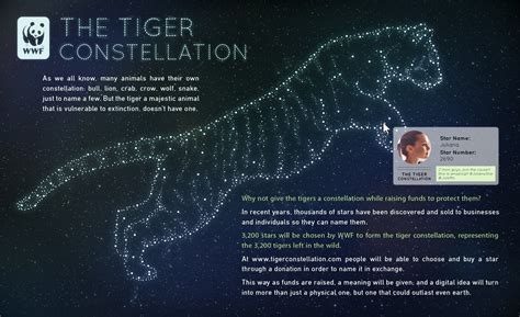 The Tiger Constellation Gerardo Saavedra