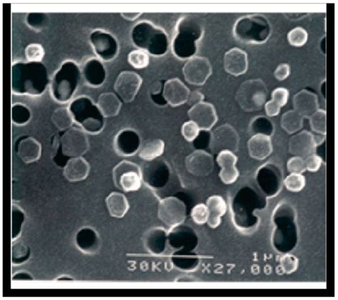 Colloids and Interfaces | An Open Access Journal from MDPI 