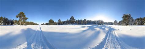 Winter Siberian forest, december 2005 360 Panorama | 360Cities