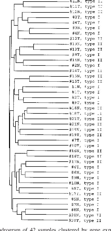 Figure 3 From A Large Scale Gene Expression Comparison Of