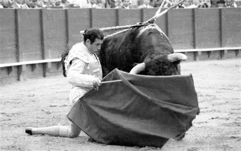 Del Toro Al Infinito ‘glorias De La Tauromaquia Los Toros Vistos Por