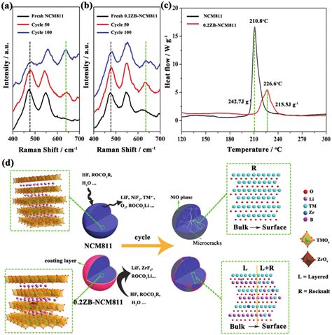 Raman Spectra Of A Ncm And B Zb Ncm Electrodes Before And