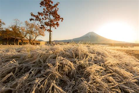 Mount Fuji Sunrise stock image. Image of majestic, dawn - 84976539