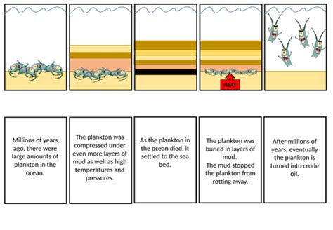 Formation of Crude Oil Storyboard | Teaching Resources