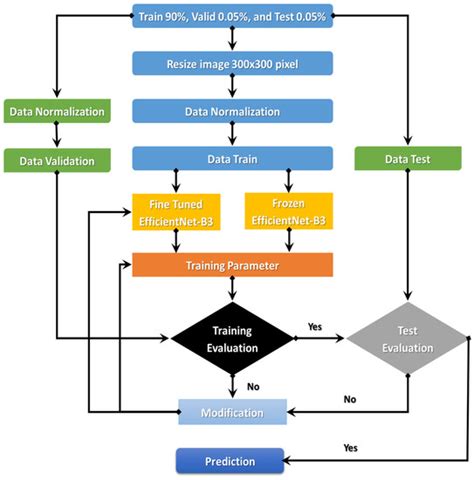 Diagnostics Free Full Text Computer Aided Diagnosis System For