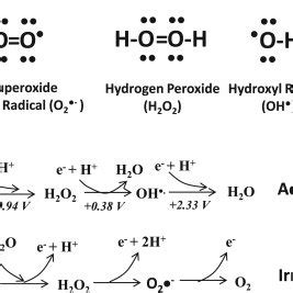 Ch2o2 Lewis Structure