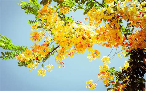 what is considered late spring