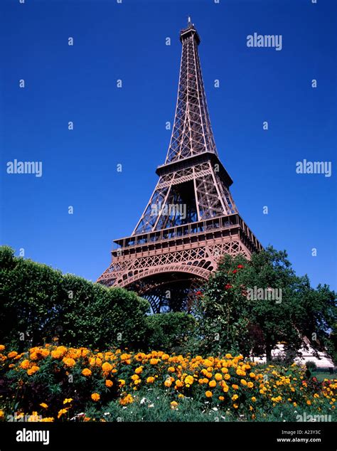 eiffel tower paris  res stock photography  images alamy