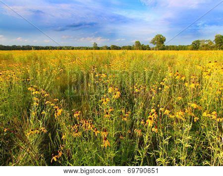 Illinois Prairie Image & Photo (Free Trial) | Bigstock