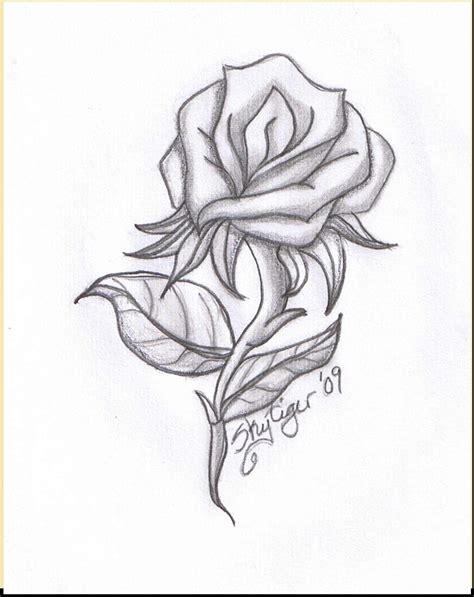 Flowers Easy Sketch at PaintingValley.com | Explore collection of ...