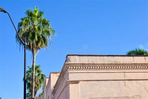 Brownsville, Texas Architecture Stock Image - Image of palm ...