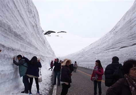 雪の大谷ウォーク立山黒部アルペンルートの紹介と長野県で雪の壁を体験できる場所 とっておき信州