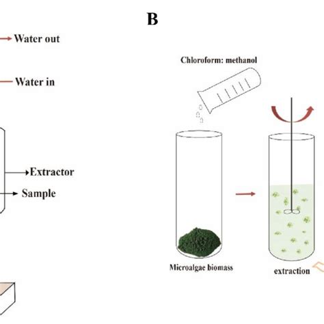 Schematic Diagram Of Classical Approaches A Soxhlet Extraction B