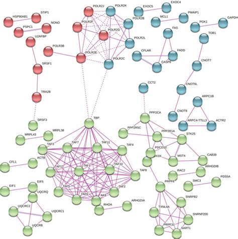 Protein Protein Interaction Network Of The Degs Consisting Of 633 Nodes